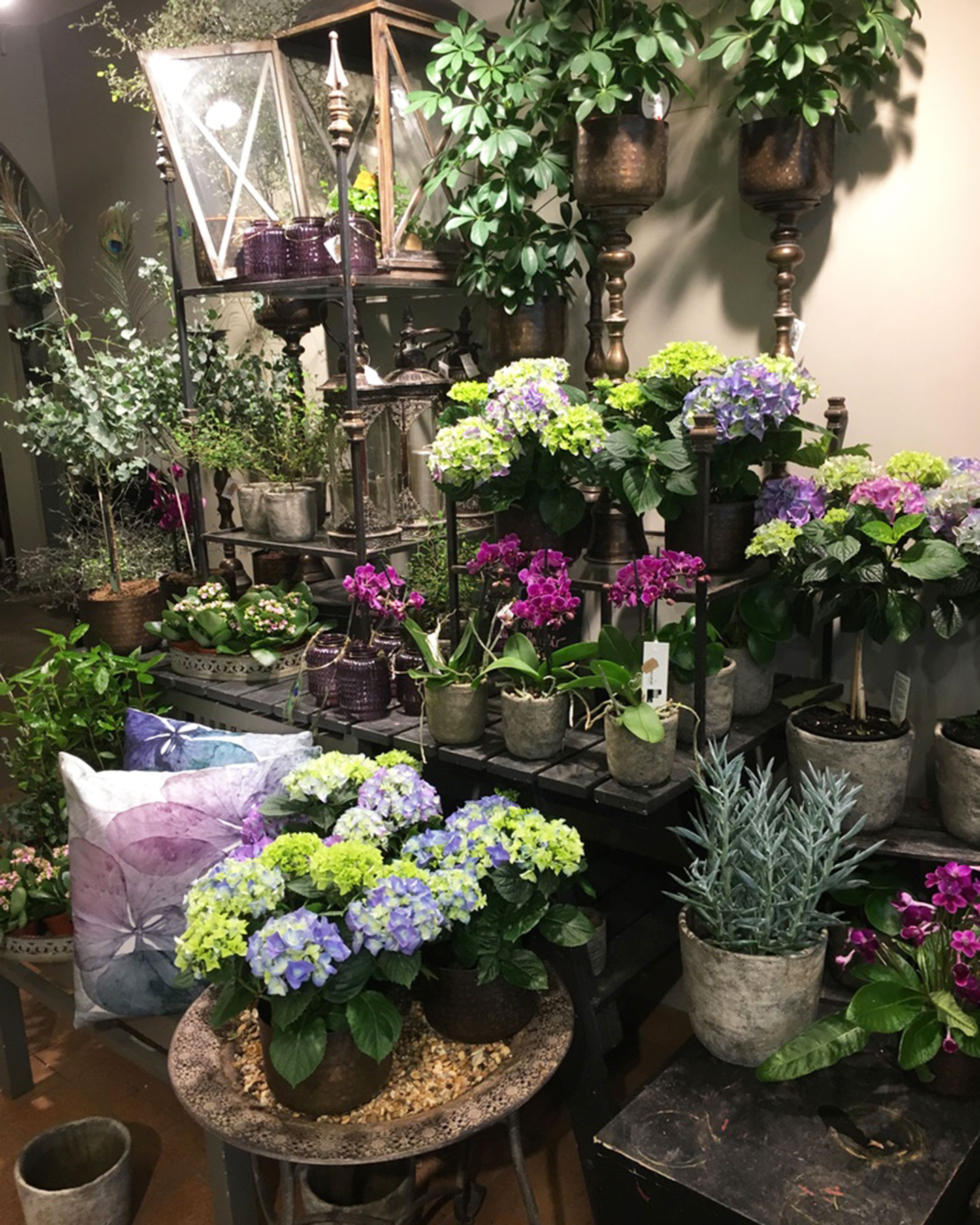 Blomsterinspiratörens butik